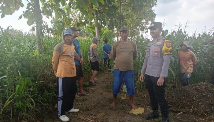 Polsek Tambakboyo Polres Tuban Turun Cek Tanaman jagung Warga di Desa Mander