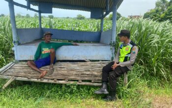 Polsek Montong Polres Tuban Turun Cek Tanaman jagung Warga di Desa Talun