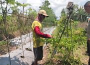 Cara Bhabinkamtibmas Lombok Barat Sukseskan Kemandirian Pangan