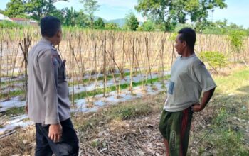 Ketahanan Pangan: Polsek Labuapi Ajak Warga Manfaatkan Lahan
