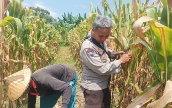 Dukung Swasembada Pangan, Polsek Batulayar Edukasi Warga Sandik