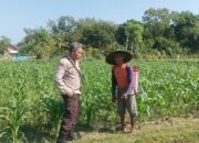 Dukung Ketahanan Pangan, Polsek Batulayar Ajak Warga Menanam Sayur