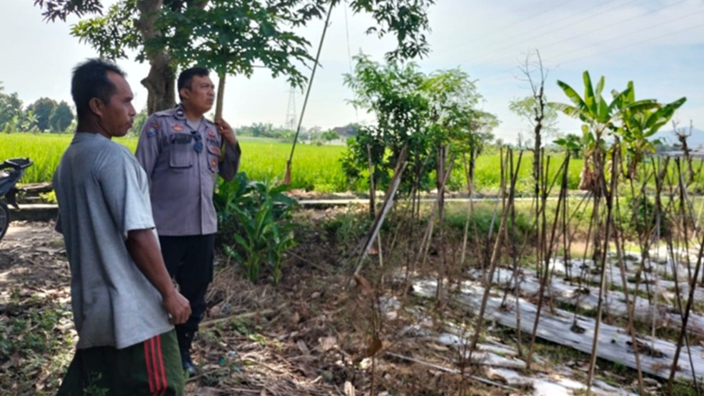 Cara Polsek Labuapi Perkuat Ketahanan Pangan Masyarakat