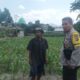 Bhabinkamtibmas Desa Sandik Kawal Ketahanan Pangan Petani Jagung