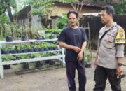 Sinergi Polsek Labuapi dan Warga Bengkel Sulap Pekarangan Jadi Lahan Produktif