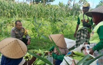 Petani Dusun Jogot Dimotivasi Bhabinkamtibmas Optimalkan Sawah