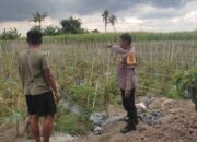 Cara Bhabinkamtibmas Lombok Barat Edukasi Petani Melejitkan Hasil Panen