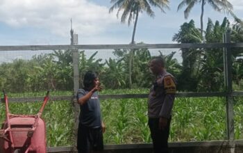 Polsek Labuapi Kawal Petani demi Ketahanan Pangan