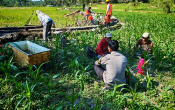 Bhabinkamtibmas Desa Embung Kandong Jalin Silaturahmi dengan Petani, Sampaikan Himbauan Kamtibmas