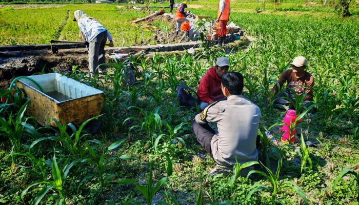 Bhabinkamtibmas Desa Embung Kandong Jalin Silaturahmi dengan Petani, Sampaikan Himbauan Kamtibmas