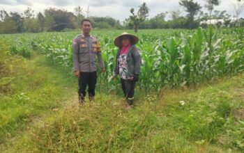 Perkuat Ketahanan Pangan Nasional, Bhabinkamtibmas Desa Mokong Sambangi Petani di Dusun Pelita