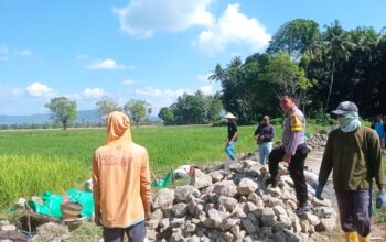 Bhabinkamtibmas Desa Dorebara Dampingi Pembuatan Saluran Irigasi, Dorong Produktivitas Pertanian dan Pemanfaatan Pekarangan