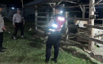 Cegah Pencurian Hewan, Polsek Sekotong Intensifkan Patroli Dini Hari di Dusun Bertong