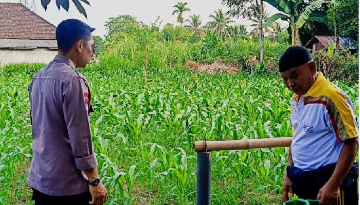 Bhabinkamtibmas Desa Masbagik Timur Monitoring Lahan Jagung, Perkuat Ketahanan Pangan dan Ajak Warga Jaga Kamtibmas