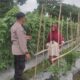 Bhabinkamtibmas Polsek Labuapi Edukasi Petani Hortikultura Lombok Barat