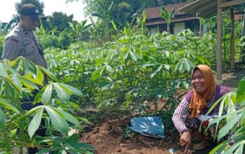 Kunci Sukses Polsek Labuapi Dorong Ketahanan Pangan Lewat Pekarangan Produktif