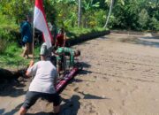 Tabela Hadir di Suranadi, Langkah Baru Pertanian Petani