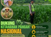 Polri Dukung Astacita, Polsek Rengel Polresta Tuban Turun Cek Tanaman Jagung Warga di Desa Sawahan