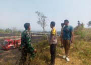 Kebakaran Kebun di Bukit Korea Berhasil Dipadamkan Sinergi Lintas Sektor