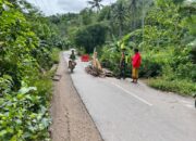 Cegah Kecelakaan, Babinsa Pasang Rambu di Jalan Amblas
