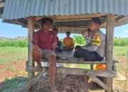 Bhabinkamtibmas Dorokobo Sambangi Petani Bawang, Dorong Pengelolaan Hasil Panen untuk Musim Tanam Berikutnya