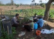 BHABINKAMTIBMAS NUSA JAYA SAMBANG PETANI TEMBAKAU, DORONG PENINGKATAN KUALITAS HASIL PANEN