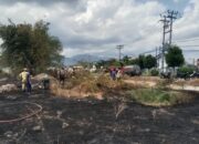 Kebakaran Lahan di Meninting Berhasil Dipadamkan