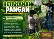Polri Dukung Astacita, Polsek jenu Polres Tuban Turun Cek Tanaman Jagung Warga di Desa Beji
