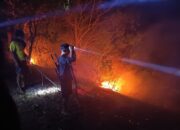 Api Melalap Bukit Tangkok Koe, Tim Gabungan Bergerak