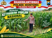 Polsek Montong Polresta Tuban Turun Cek Tanaman jagung Warga di Desa Pakel