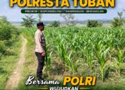 Polri Dukung Astacita, Polsek Rengel Polresta Tuban Turun Cek Tanaman Jagung Warga di Desa Rengel