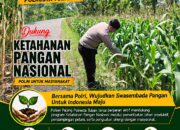 Dukung Astacita, Polsek Palang Polresta Tuban Pantau Langsung Lahan Jagung milik warga Desa Wangun