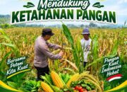 Bhabinkamtibmas Polsek Senori Pantau Tanaman Jagung Warga Desa Sendang Guna Dukung Ketahanan Pangan Nasional