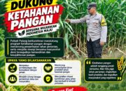 Dukung Astacita, Polsek Palang Polresta Tuban Pantau Langsung Lahan Jagung milik warga Desa Wangun