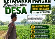 Anggota Polsek Singgahan Polresta Tuban Turun Cek Tanaman jagung Warga di Desa Tingkis