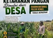 Polri Dukung Astacita, Polsek Rengel Polresta Tuban Turun Cek Tanaman Jagung Warga di Desa Sawahan