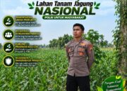 Anggota Polsek Singgahan Polresta Tuban Turun Cek Tanaman jagung Warga di Desa Mulyorejo