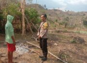 Bhabinkamtibmas Desa Rababaka Sambangi Petani Bawang, Ingatkan Pentingnya Perawatan Tanaman untuk Cegah Gagal Panen
