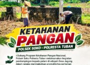 Polsek Soko Polresta Tuban Turun Langsung Cek Tanaman Jagung Warga