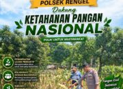 Polri Dukung Astacita, Polsek Rengel Polresta Tuban Turun Cek Tanaman Jagung Warga di Desa Rengel