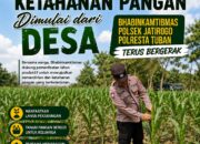 Polri dukung progam Astacita, Polsek Jatirogo Polresta Tuban Turun Cek Tanaman jagung Warga di Desa Demit