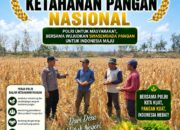 Konsep Otomatis