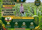 Dukung Ketahanan Pangan Nasional, Polsek Bangilan Aktif Dampingi Petani Jagung