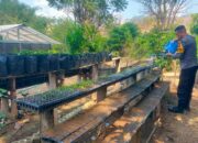 Dukung Ketahanan Pangan Nasional, Bhabinkamtibmas Desa Semamung Sambangi Warga di Demplot Uma Keban