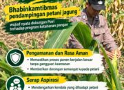 Dukung Ketahanan Pangan Nasional, Polsek Bangilan Aktif Dampingi Petani Jagung