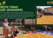 Polri Dukung Astacita, Polsek Semanding Polresta Tuban Turun Cek Tanaman jagung milik Warga di Desa Semanding