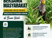 Dukung Astacita, Polsek Jatirogo Cek Langsung Ladang Jagung Warga Desa Ketodan