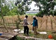 Polri Dukung Astacita, Polsek Merakurak Polres Tuban Turun Cek Tanaman Jagung Warga di Desa Tuwiri Wetan