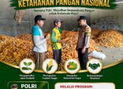 POLSEK KEREK POLRESTA TUBAN MONITORING HASIL PANEN JAGUNG, WUJUDKAN DUKUNGAN KETAHANAN PANGAN NASIONAL