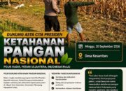 Polsek Plumpang Polresta Tuban Turun Langsung Cek Tanaman Jagung Warga